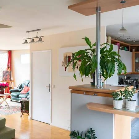 Appartement Charming Duplex With Two Balconies In The 13th *